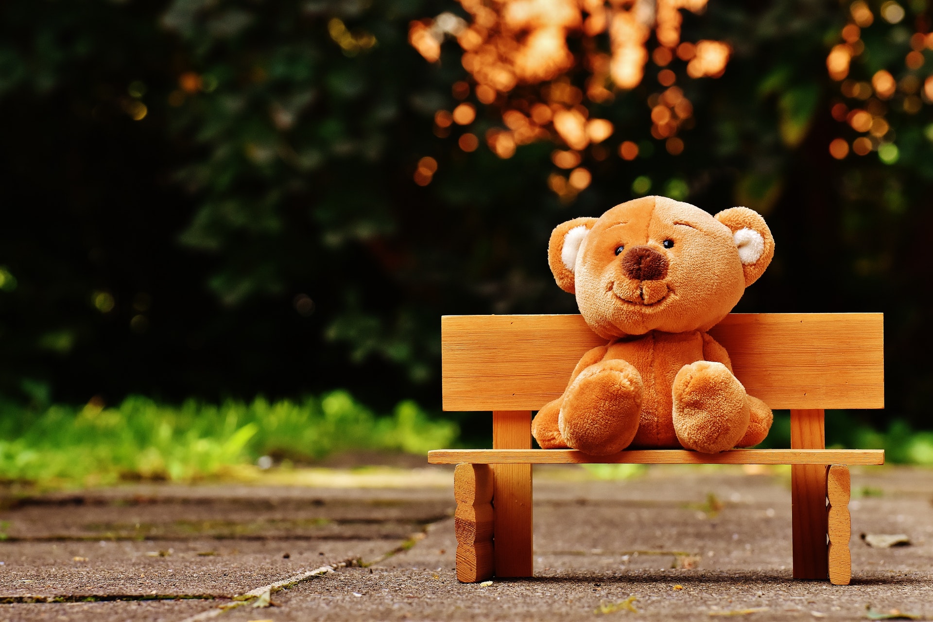 bear-bench-child